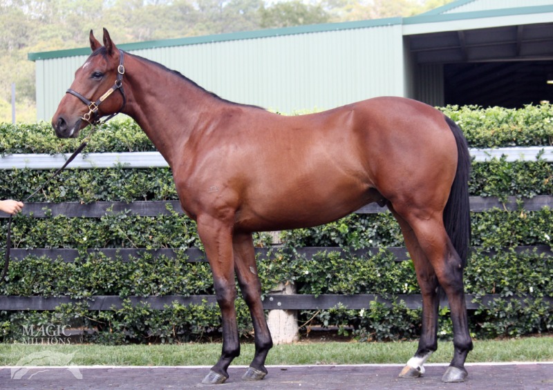Sir Rotheway (AUS) - photo 1