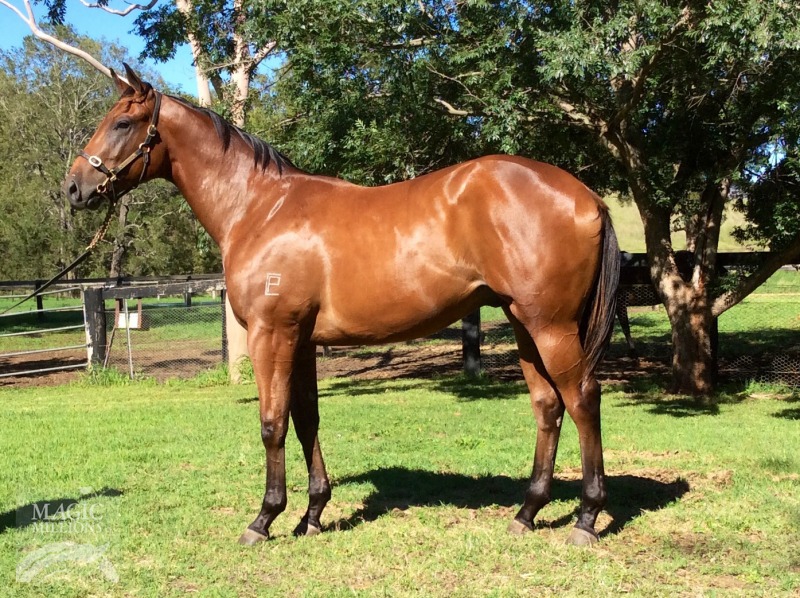 Sanctuary Cove (AUS) - photo 1