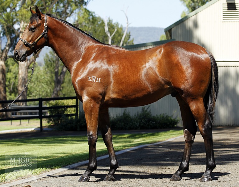 Endless Days (AUS) - photo 1