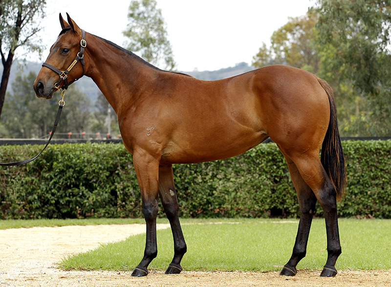 Just Victoria (AUS) - photo 1