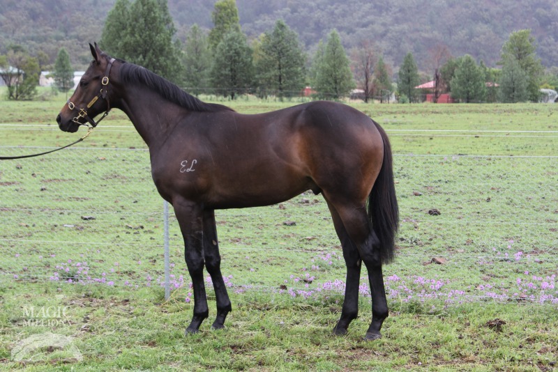 Invincible Mode (AUS) - photo 1