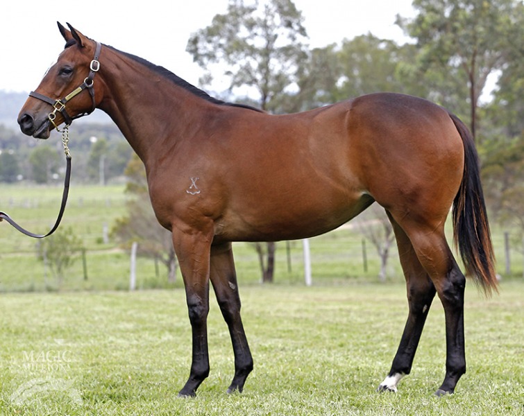 Wah Tootsie (AUS) - photo 1