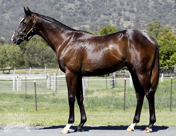 Mandalong Benet (AUS) - photo 1