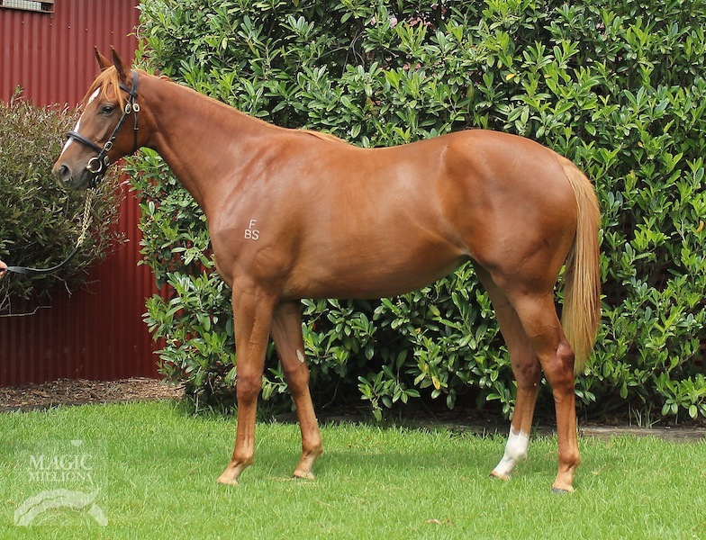 Mossy Girl (AUS) - photo 1