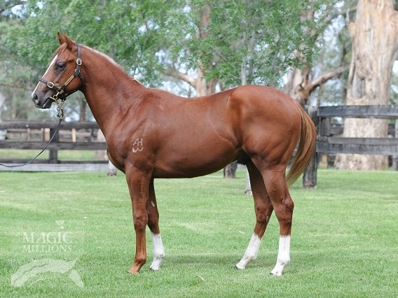 Life's A Gamble (AUS) - photo 1