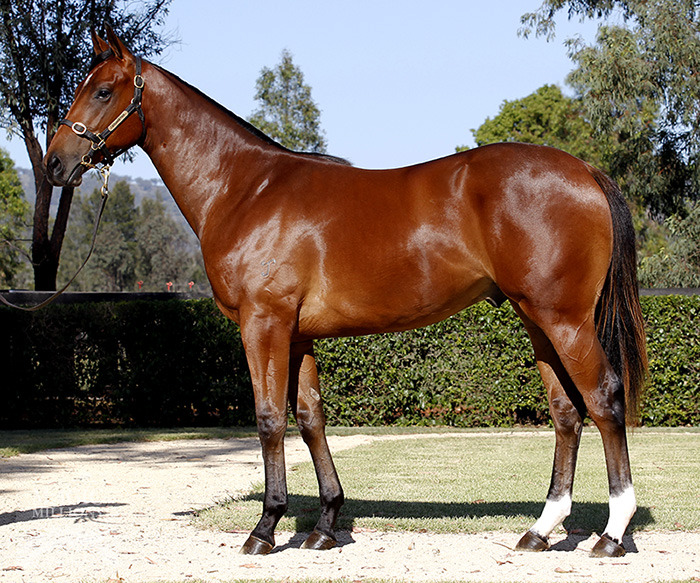 Talisker (AUS) - photo 1