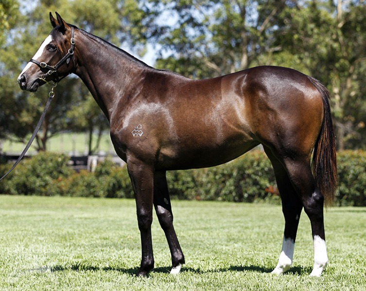 Bliss Point (AUS) - photo 1