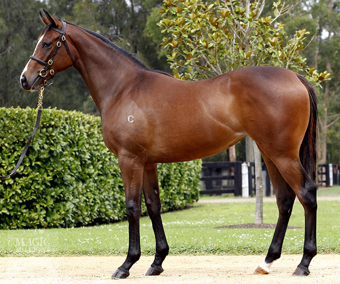 Our Matilda (AUS) - photo 1