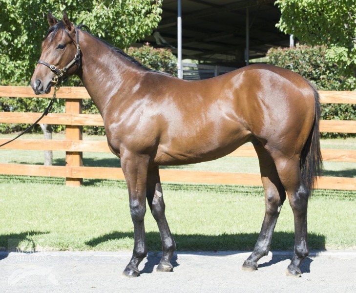 Hypothecate (AUS) - photo 1