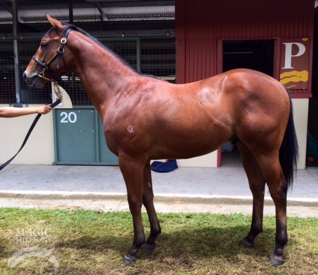 Mossman (AUS) / Inca Lagoon (AUS) - photo 1