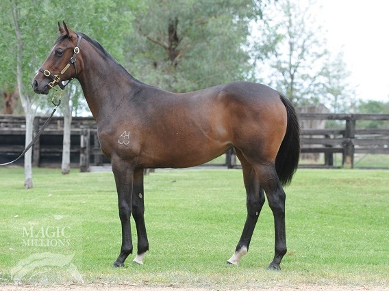 Denman (AUS) / La Marama (AUS) - photo 1