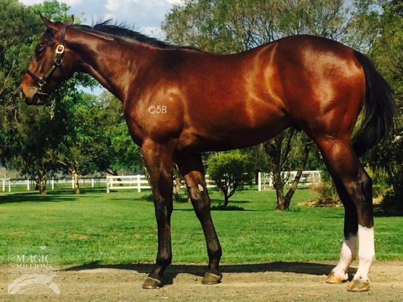 Purbeck (AUS) - photo 1