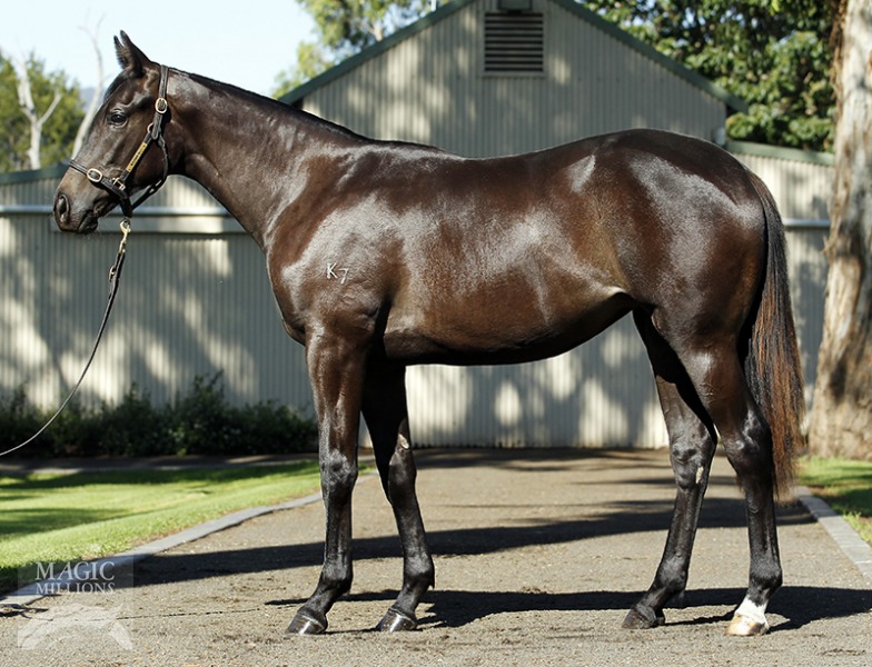 Poet's Voice (GB) / Margherita (AUS) - photo 1