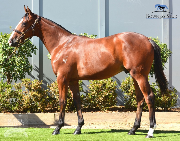 Bel Comic (AUS) - photo 1