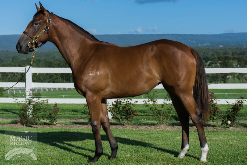 Ocean Magic (AUS) - photo 1