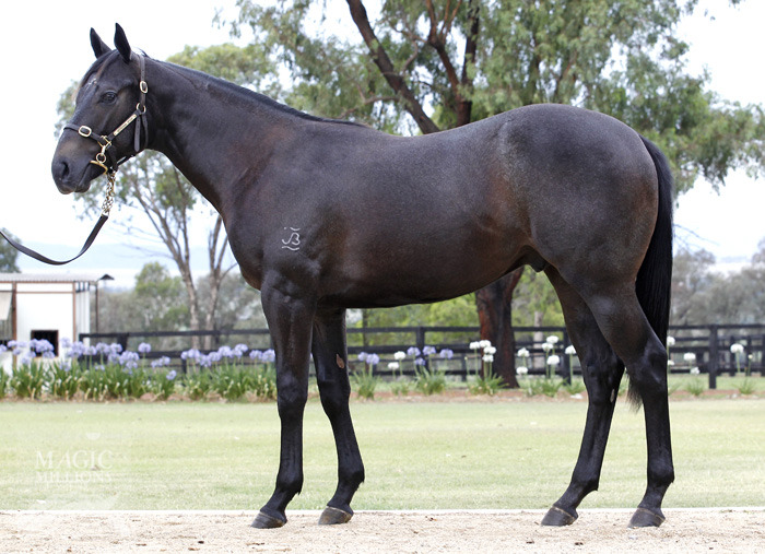 Master of Design (AUS) / Miracle Magic (AUS) - photo 1