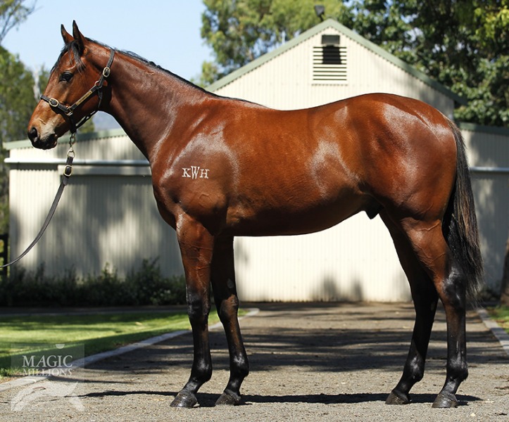 Duporth (AUS) / Miss Finch (AUS) - photo 1