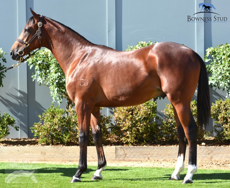 Master Bernini (AUS) - photo 1