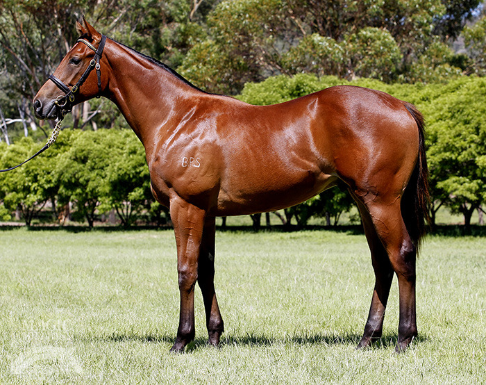 Mandalong Les (AUS) - photo 1