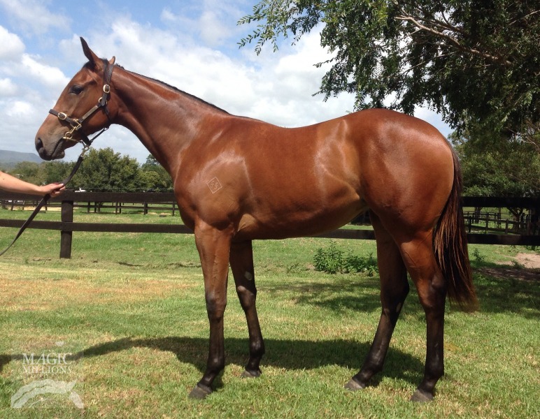 Cudabeen (AUS) - photo 1