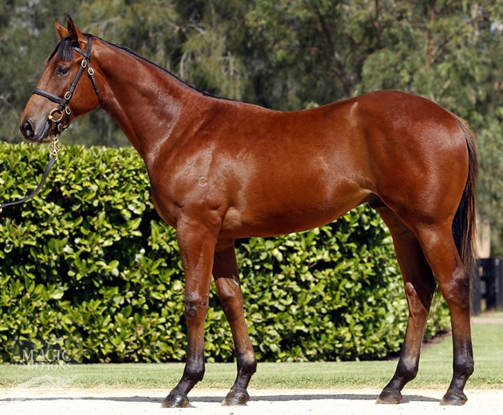 Uncle Mo (USA) / Pachelbel's Song (AUS) - photo 1