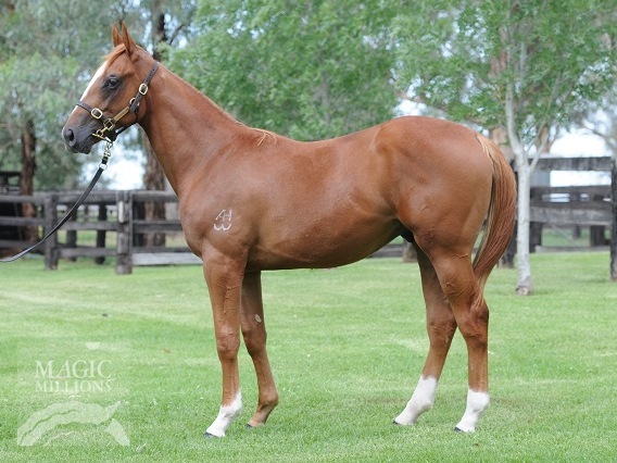 Astronomic (AUS) - photo 1