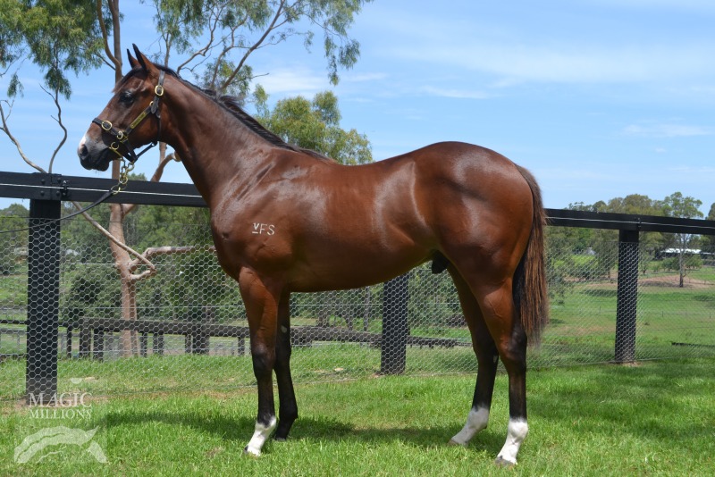 Chasin (AUS) - photo 1