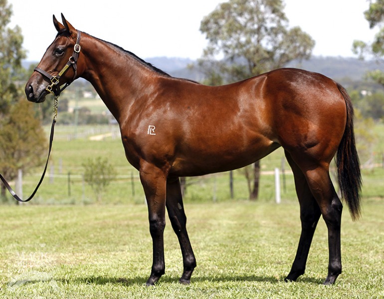 Caipirinha (AUS) - photo 1