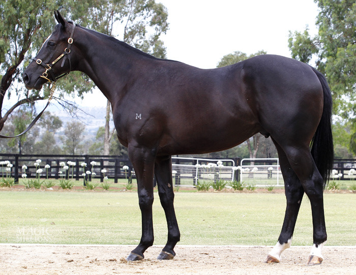 Natural Black (AUS) - photo 1