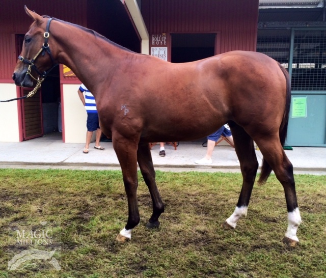 Yu Long Sheng Hui (AUS) - photo 1