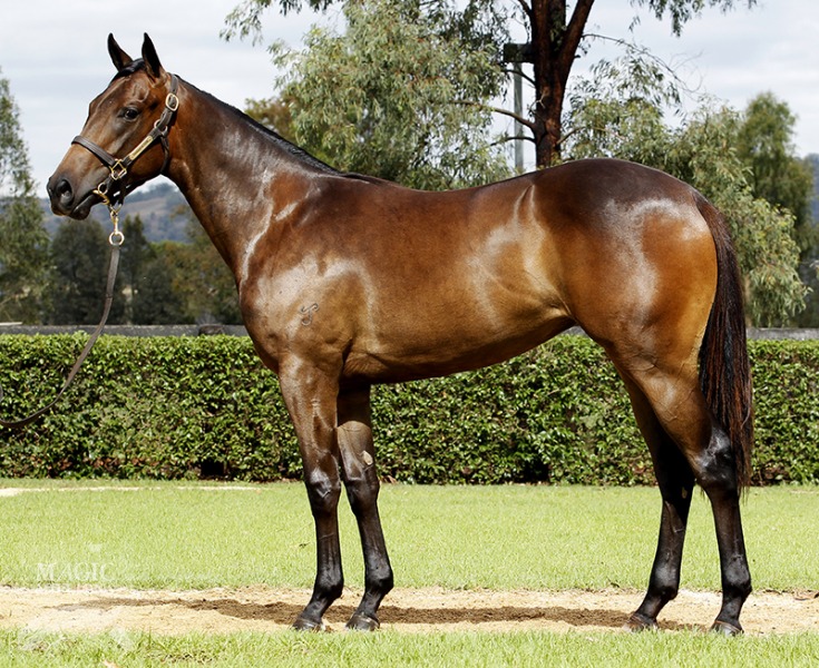 Strike for Victory (AUS) - photo 1