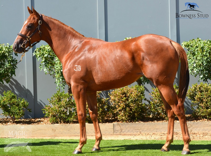 Anna's Joy (AUS) - photo 1