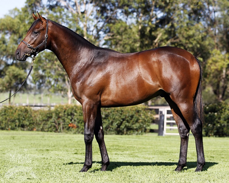 Locus (AUS) - photo 1