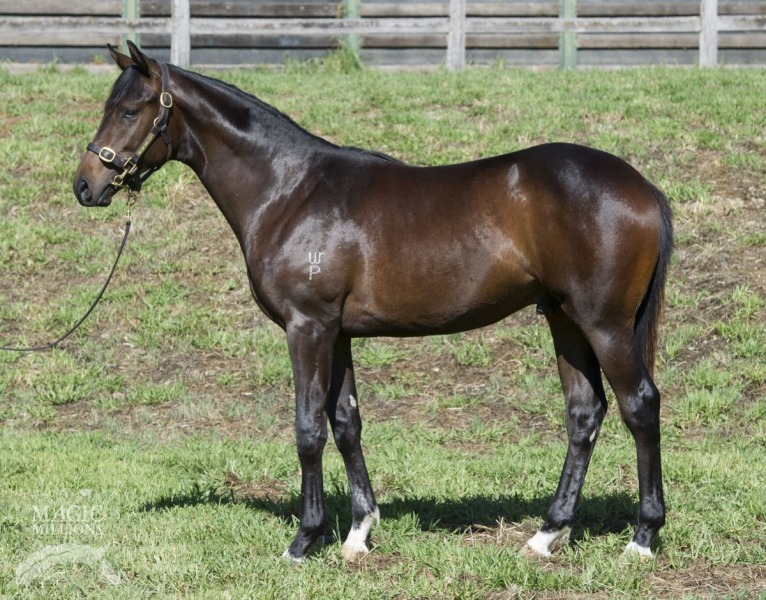 Testa Rossa (AUS) / Sassybella (NZ) - photo 1