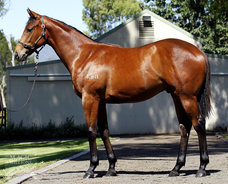 Making Shadows (AUS) - photo 1