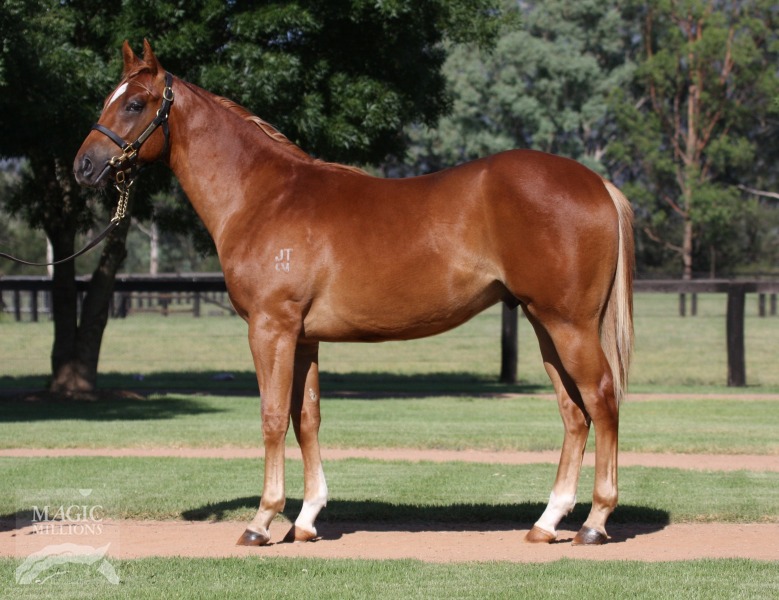 Star of Pompeii (AUS) - photo 1