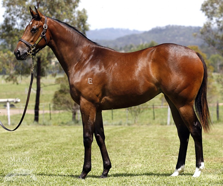 Deep Harbour (AUS) - photo 1