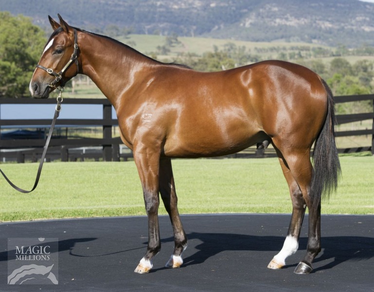 Suilven (AUS) - photo 1