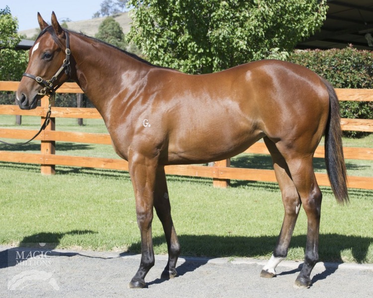 Love Me Baby (AUS) - photo 1