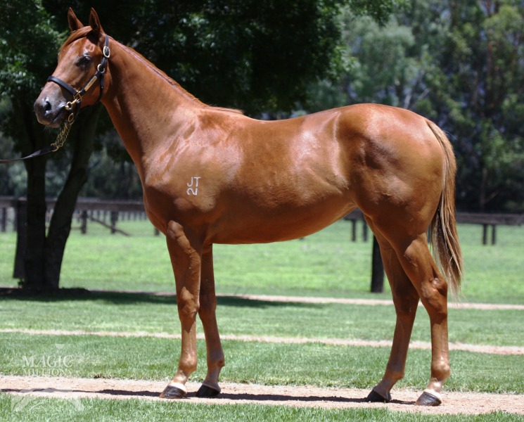 Rare Occurrence (AUS) - photo 1