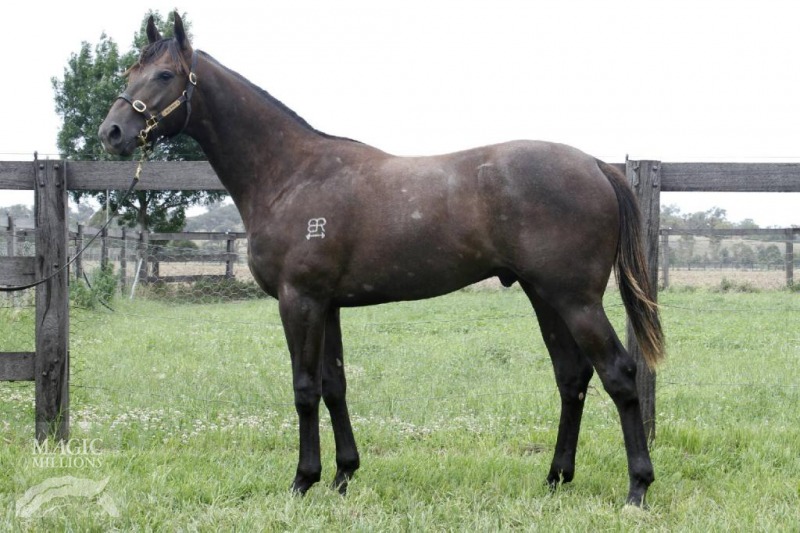 Wanted (AUS) / Snowtime (AUS) - photo 1