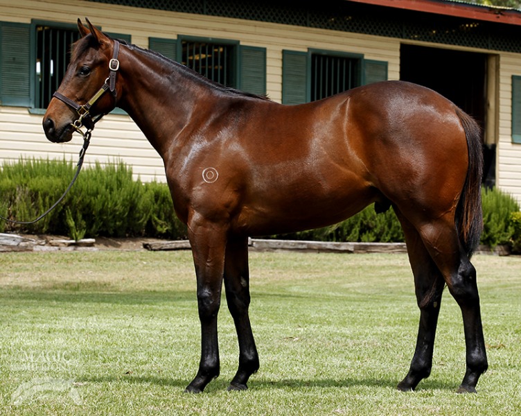 Wearethechampions (AUS) - photo 1