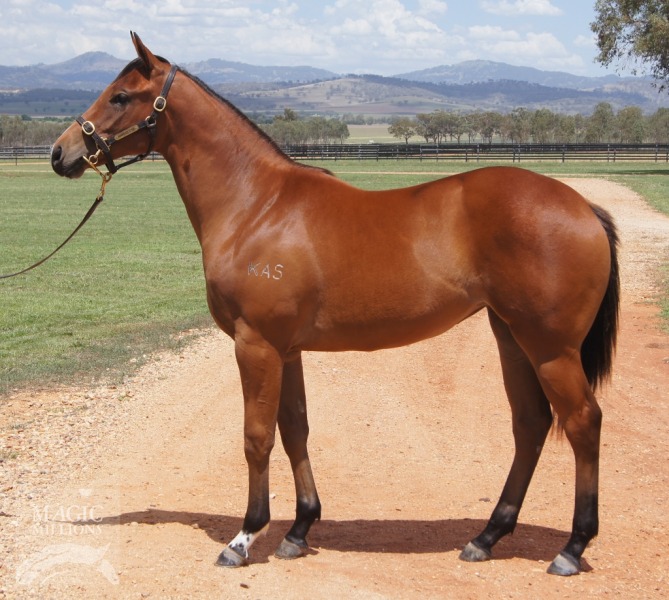 I Am Special (AUS) - photo 1