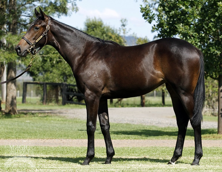 Testa Rossa (AUS) / Take The Gold (IRE) - photo 1