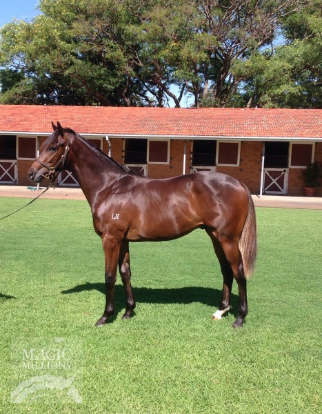 Stornaway (AUS) - photo 1