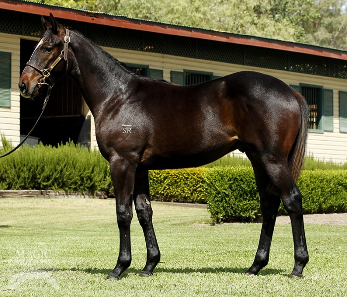 Charlie's Day (AUS) - photo 1