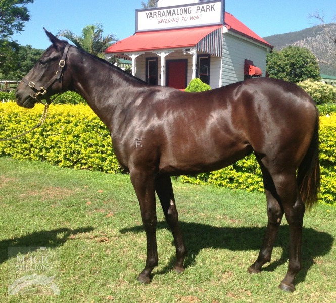 Umarock (AUS) - photo 1