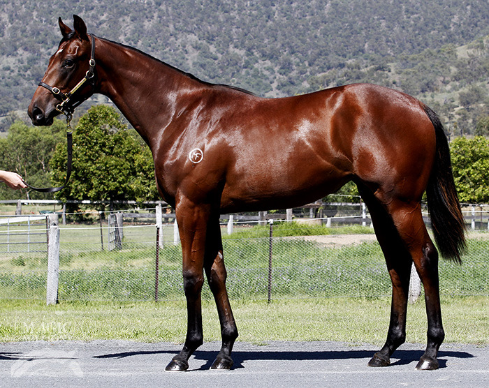 Love Spy (AUS) - photo 1