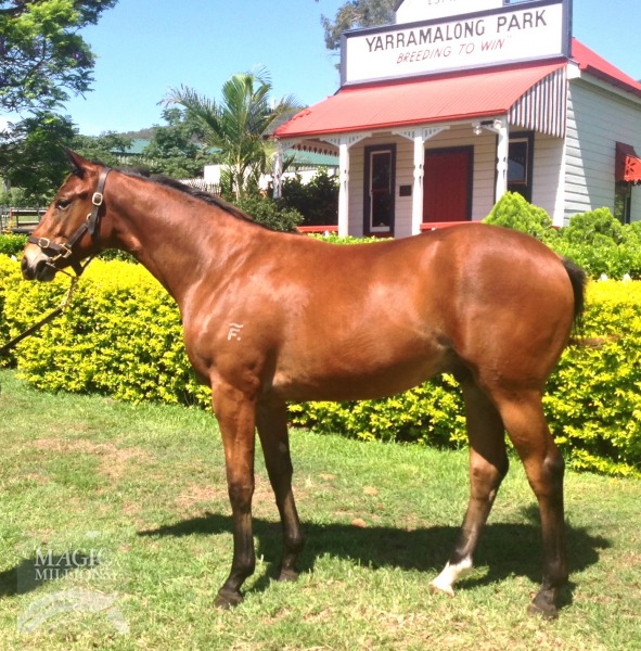 Eungai (AUS) - photo 1