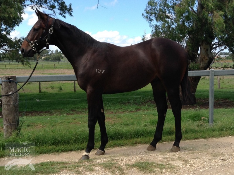 Drumbeats (AUS) / Miss Diaz (AUS) - photo 1